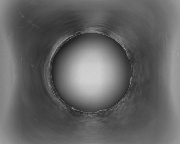 X0000116130289200911231241