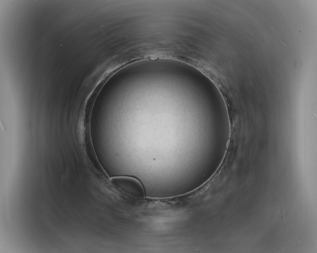 X0000116130290200911231241