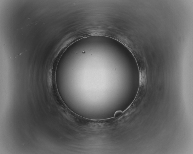 X0000116130291200911231241