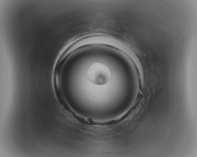 X0000116130292200911231241
