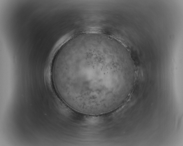 X0000116130293200911231241