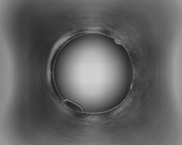 X0000116130294200911231241