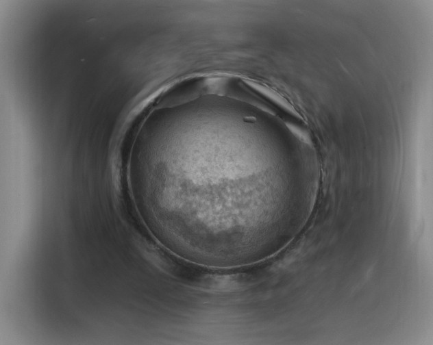 X0000116130295200911231241