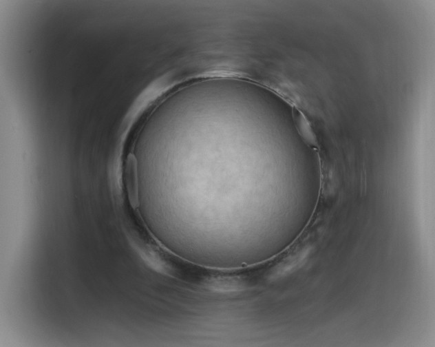 X0000116130296200911231241