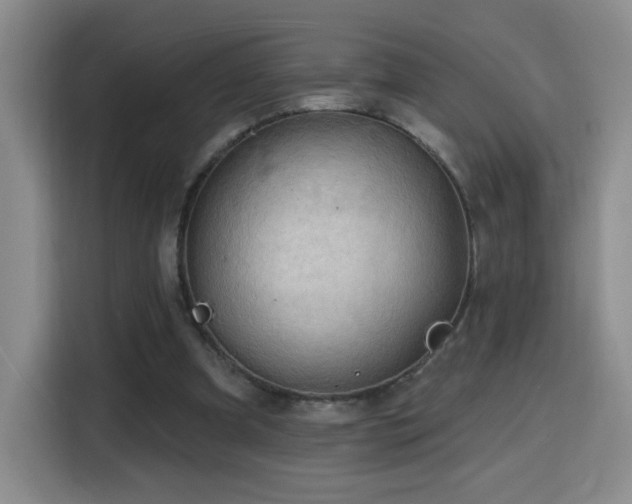 X0000116130297200911231241