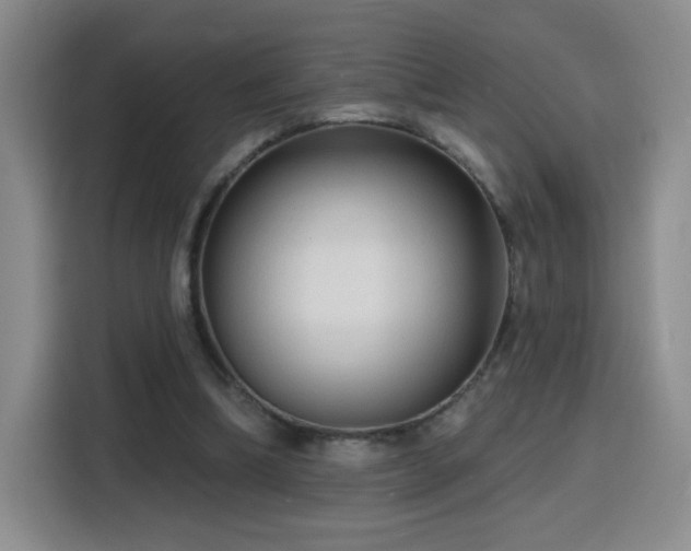 X0000116130298200911231241