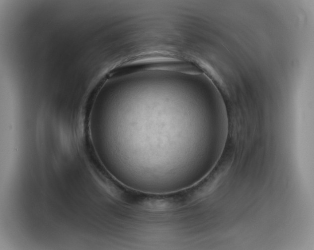 X0000116130299200911231241