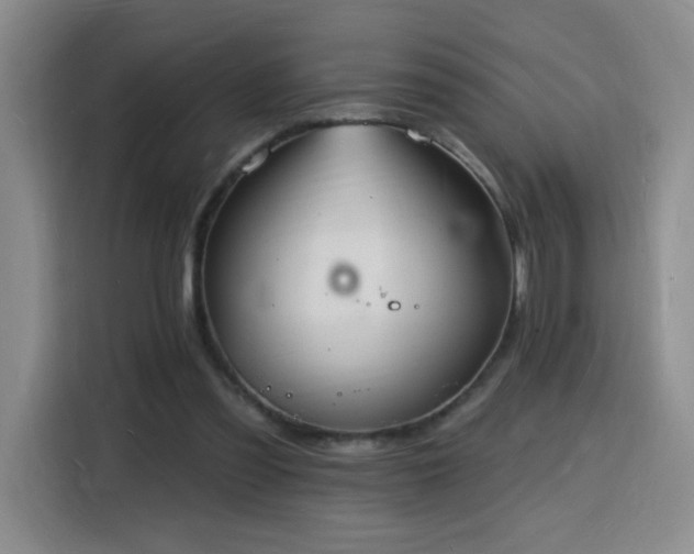 X0000116130301200911231240