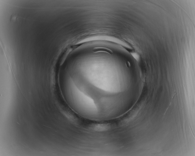 X0000116130303200911231240