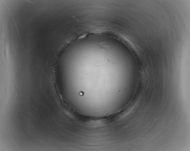 X0000116130307200911231240
