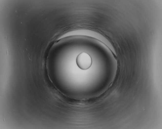 X0000116130308200911231240