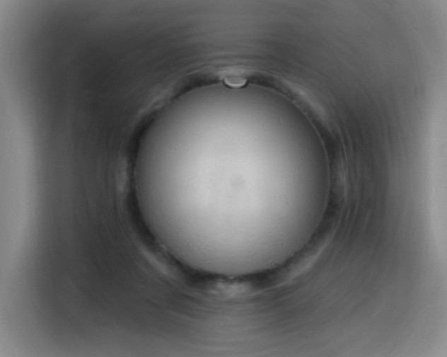 X0000116130311200911231240