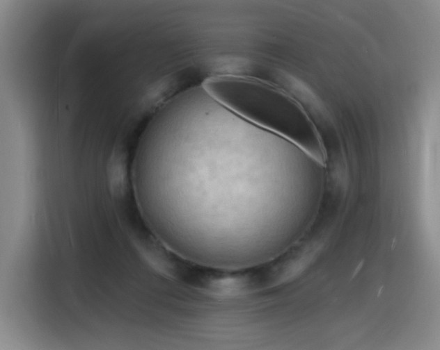 X0000116130312200911231240