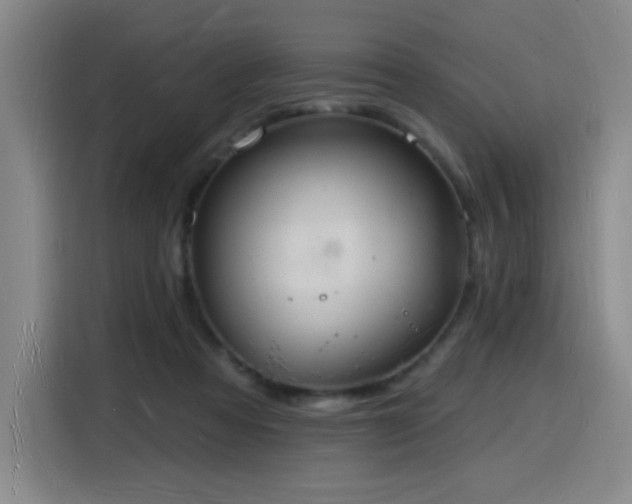 X0000116130313200911231240