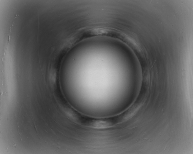X0000116130315200911231240