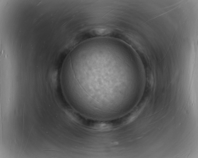 X0000116130319200911231240