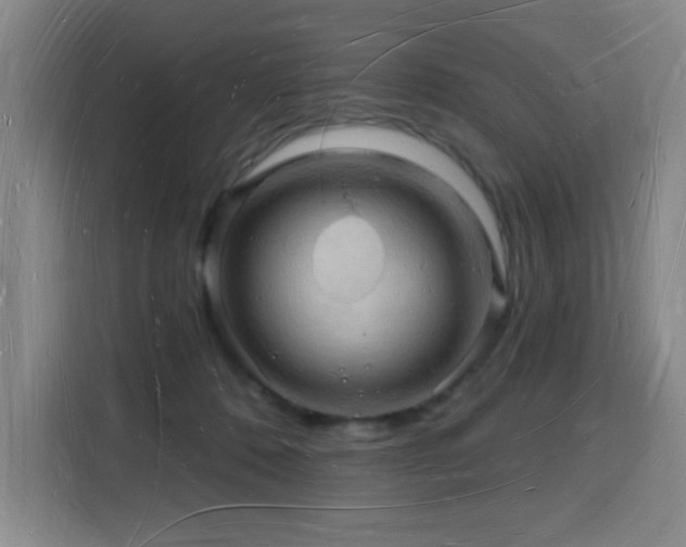 X0000116130320200911231240