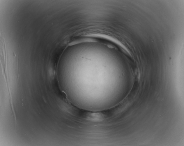 X0000116130324200911231240