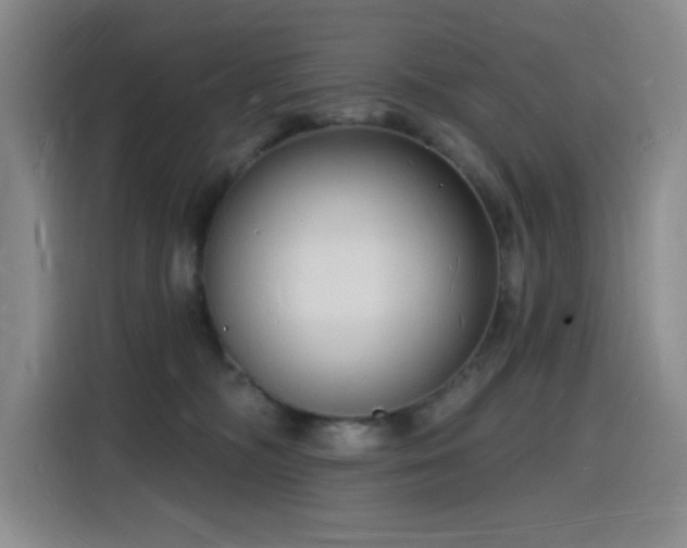 X0000116130326200911231240