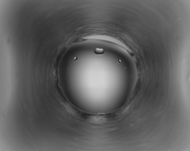X0000116130327200911231240