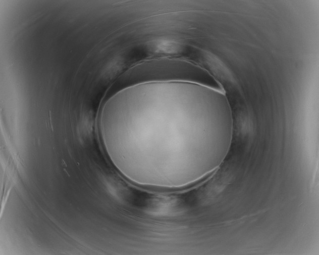 X0000116130328200911231240
