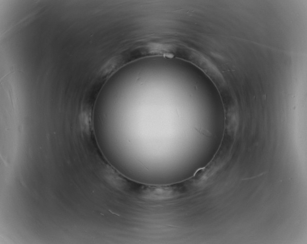 X0000116130329200911231240