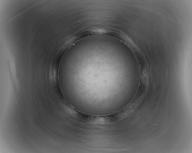 X0000116130330200911231240