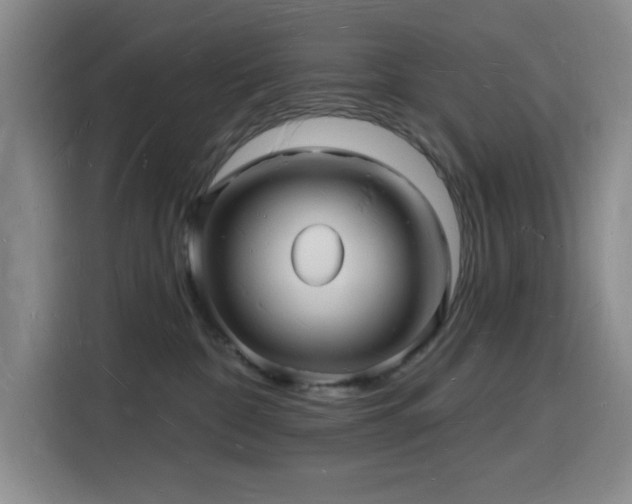 X0000116130332200911231240