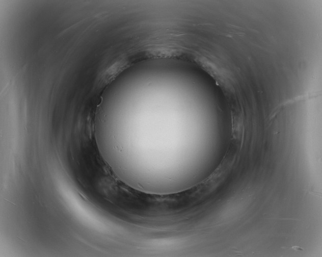 X0000116130334200911231240