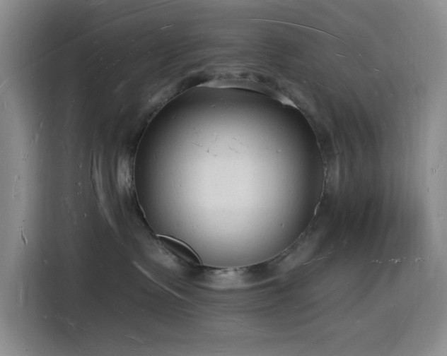 X0000116130335200911231240