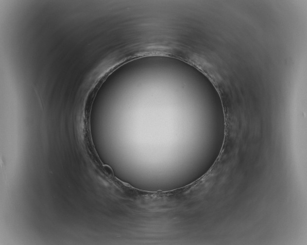 X0000116130338200911231239