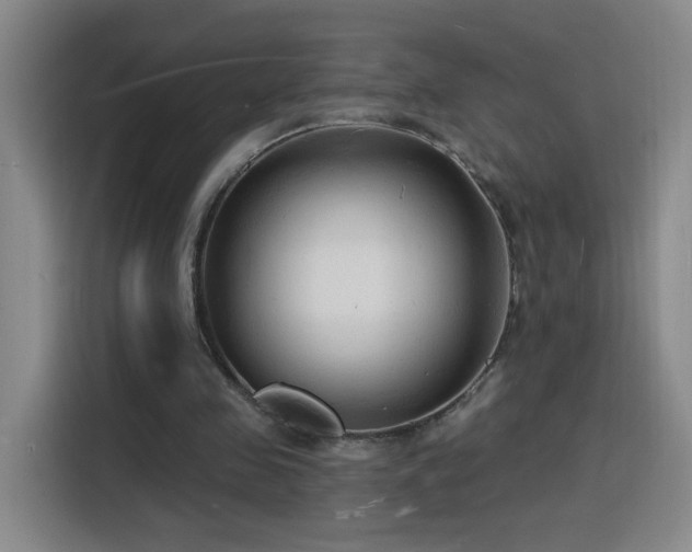 X0000116130341200911231239