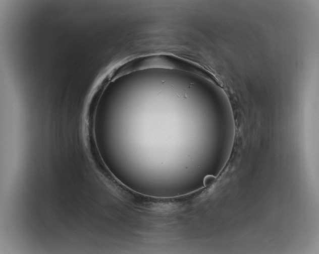 X0000116130342200911231239
