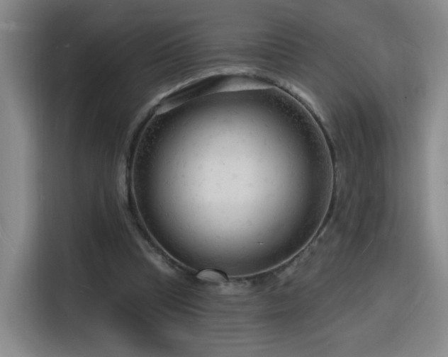 X0000116130345200911231240