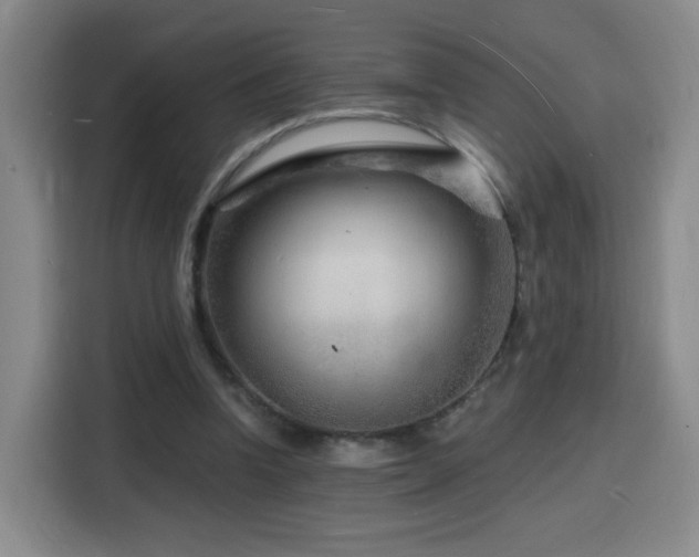 X0000116130346200911231240