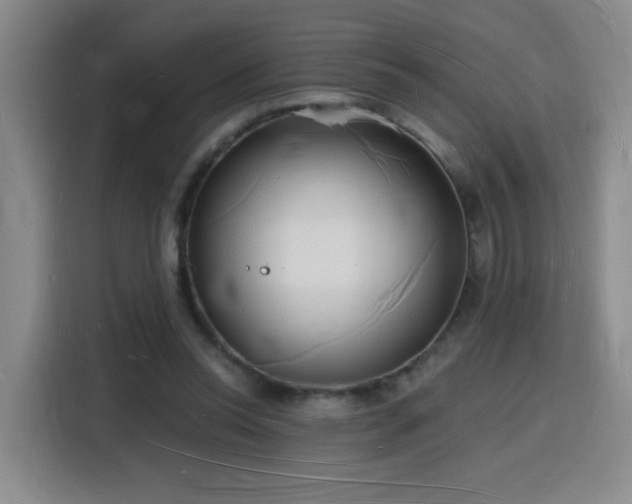 X0000116130350200911231240