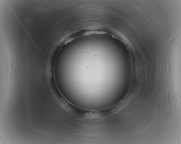 X0000116130354200911231240