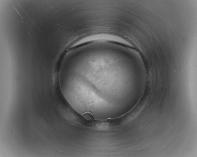 X0000116130355200911231240