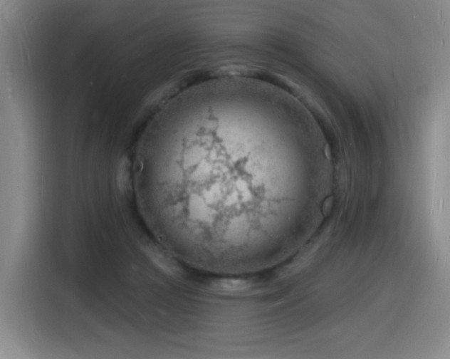 X0000116130361200911231240