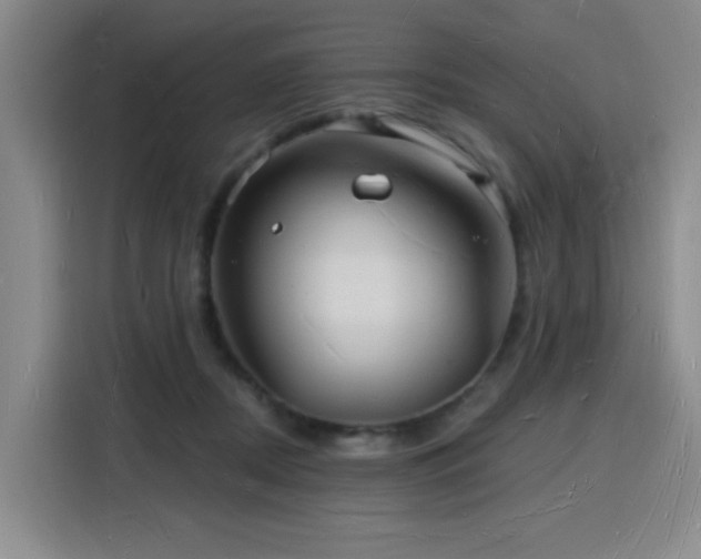 X0000116130362200911231240