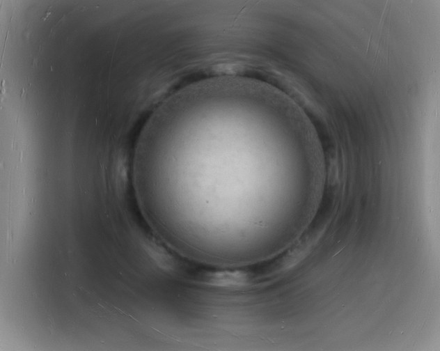 X0000116130363200911231240