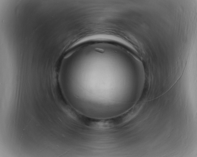 X0000116130366200911231240
