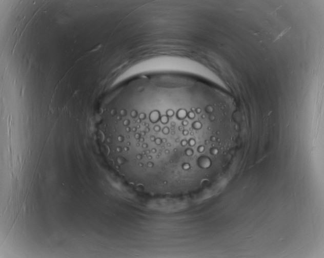 X0000116130367200911231240