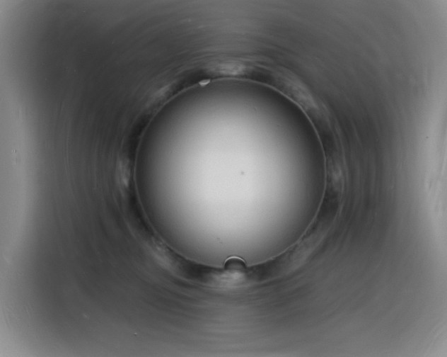 X0000116130374200911231240