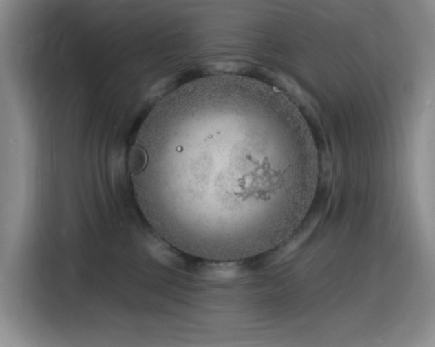 X0000116130377200911231240