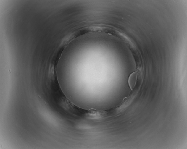 X0000116130381200911231240