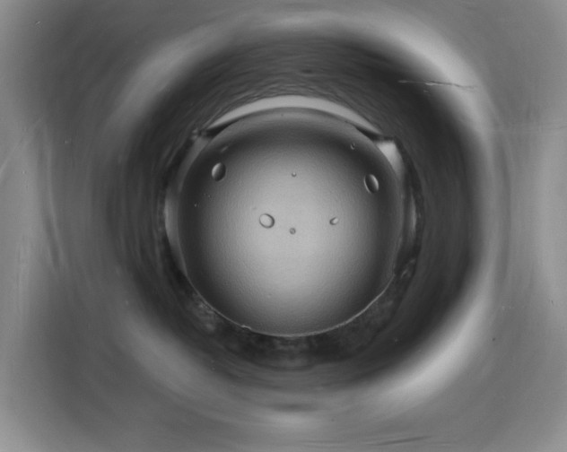 X0000116130382200911231240