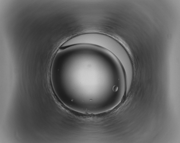 X0000116130385200911231239