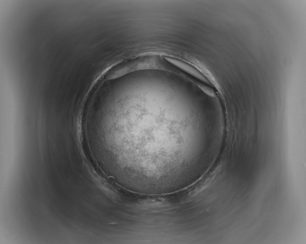 X0000116130386200911231239