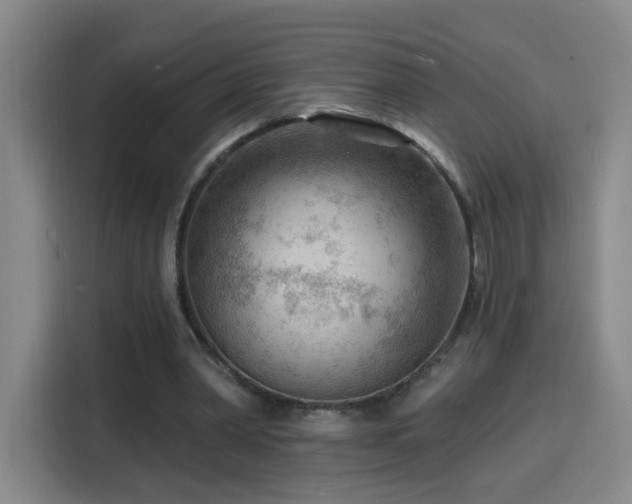 X0000116130390200911231239